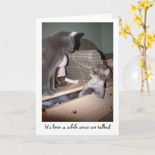 It's been hat "since we talked" karte (Gelbe Blume)