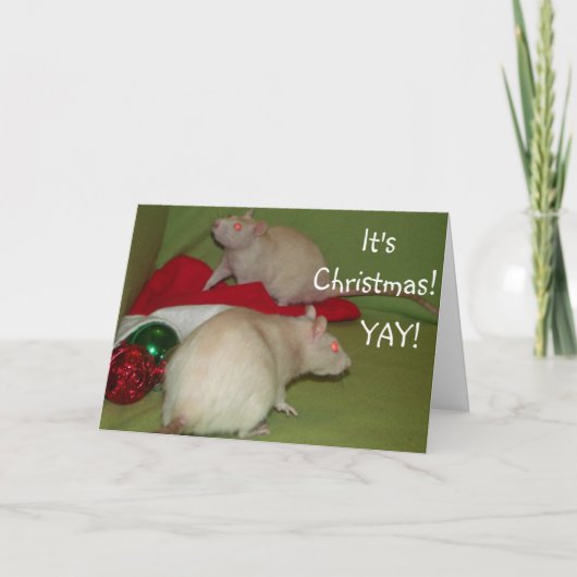 It's Christmas! card Feiertagskarte (Vorderseite)