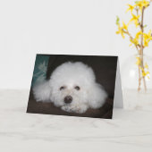 It's going to be okay Dog Card Karte (Gelbe Blume)