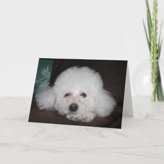 It's going to be okay Dog Card Karte