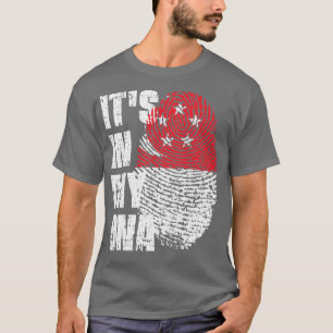 ITS IN MEINE DNA Singapur Flag Boy Girl Gift T-Shirt
