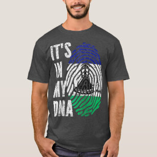 ITS IN MEY DNA Lesotho Flag Basotho Raglan Basebal T-Shirt