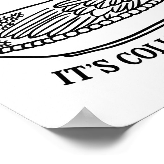 It's Not Hoarding It's Collecting Hen On Nest Coll Poster (Ecke)