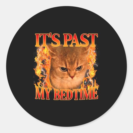 It's Past My Bedtime Funny Cat Meme Animals Humor  Runder Aufkleber (Vorderseite)