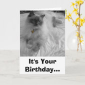 It's Your Birthday. Karte (Gelbe Blume)