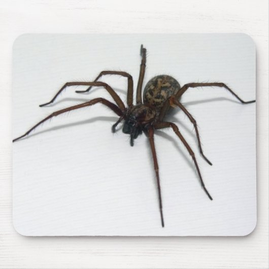 Itsy Bitsy Mousepad (Vorne)