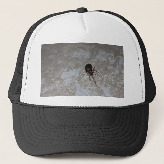 Itsy Bitsy Spider #3 Truckerkappe (Vorderseite)