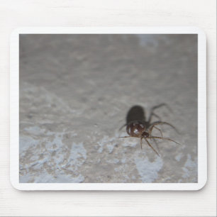Itsy Bitsy Spider Mousepad