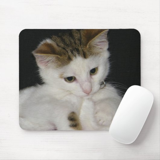 ITTY BITTY KITTY ALLE IN WEISS MOUSEPAD (Mit Mouse)