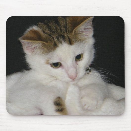 ITTY BITTY KITTY ALLE IN WEISS MOUSEPAD (Vorne)