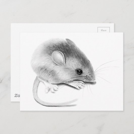 Itty Bitty Mouse Postkarte (Vorne/Hinten)