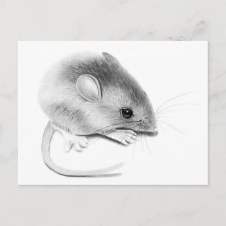 Itty Bitty Mouse Postkarte