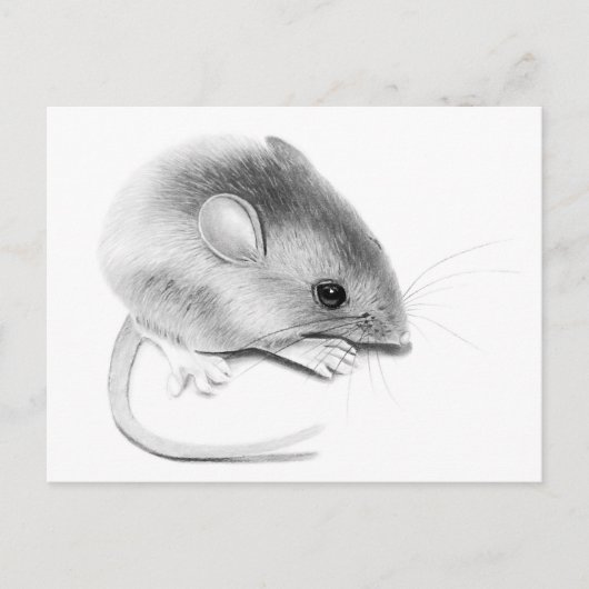 Itty Bitty Mouse Postkarte (Vorderseite)