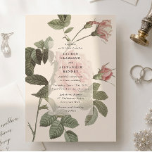 IV. botanische Rose Blumenzitat