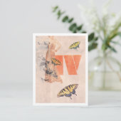 IV POSTKARTE (Stehend Vorderseite)