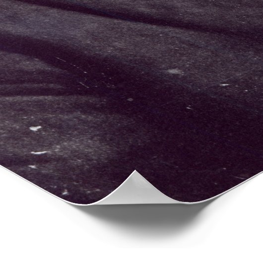 Ivan Petrovich Pavlov Poster (Ecke)