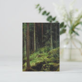 Ivan Shishkin-Thickets Postkarte (Stehend Vorderseite)