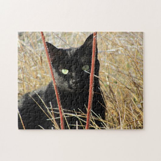 Ive, das gerahmt gewesen wird oder, addieren Ihr Puzzle (Horizontal)