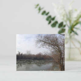 Ive Flussseite im Winter Postkarte