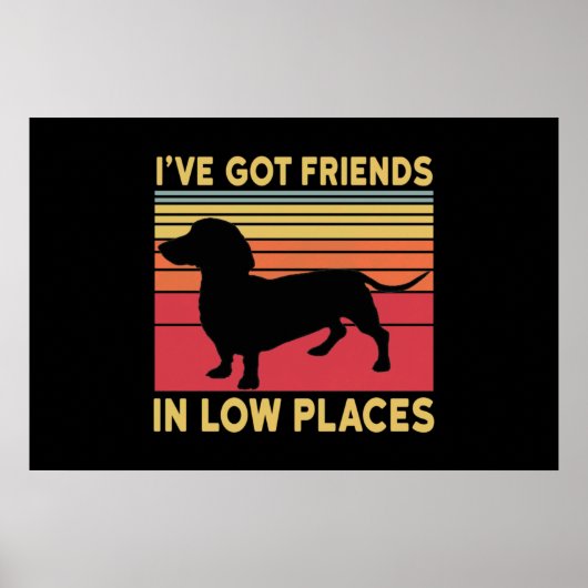 Ive got friends in low places poster (Vorne)