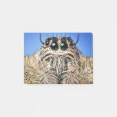 I've got my eyes on you! post-it klebezettel (Vorderseite)