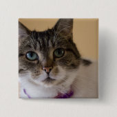 Ivey Button (Vorderseite)