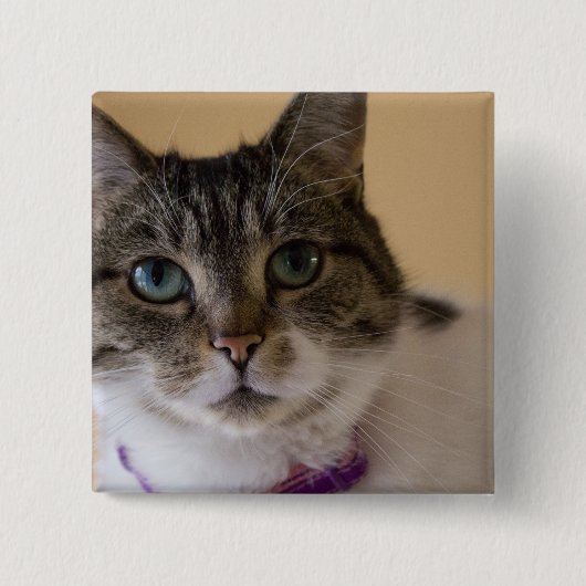 Ivey Button (Vorderseite)