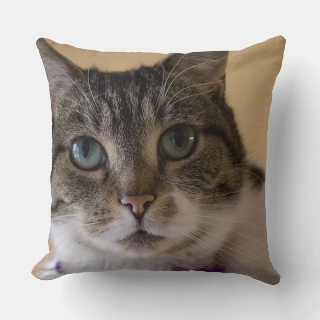 Ivey Kissen (Vorderseite)