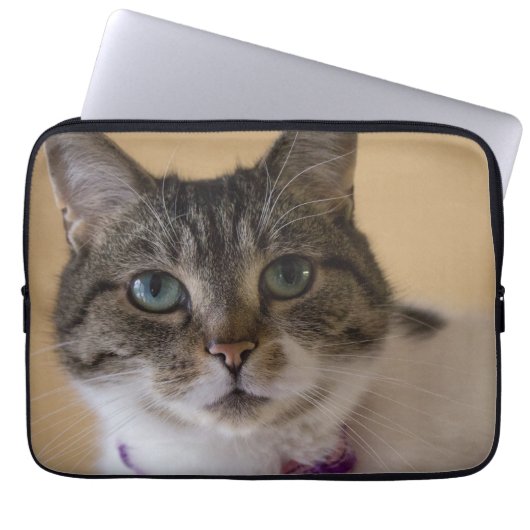 Ivey Laptopschutzhülle (Vorderseite)