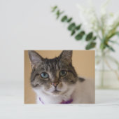 Ivey Postkarte (Stehend Vorderseite)