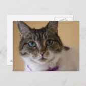 Ivey Postkarte (Vorne/Hinten)