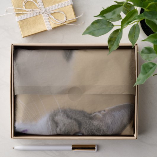 Ivey Seidenpapier (Geschenk)