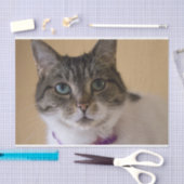 Ivey Seidenpapier (Handwerk)