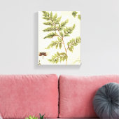 Ivies und Ferns Leinwanddruck (Insitu (Wohnzimmer))