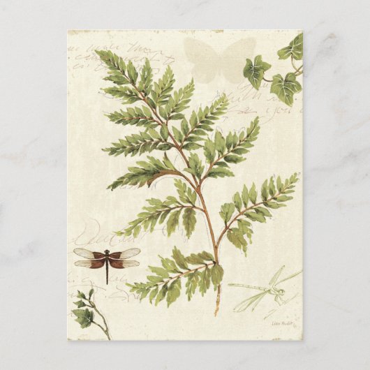 Ivies und Ferns Postkarte (Vorderseite)
