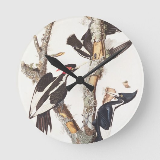 Ivory-billed Woodpecker, 1829, (Print) Runde Wanduhr (Vorderseite)