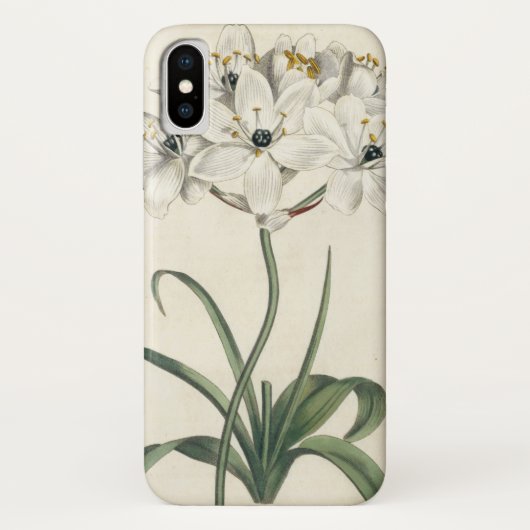 Ivory Garden Case-Mate iPhone Hülle (Rückseite)