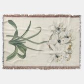 Ivory Garden Decke (Vorderseite)