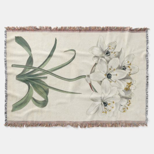 Ivory Garden Decke (Vorderseite)
