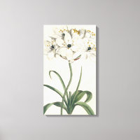 Ivory Garden