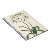 Ivory Garden Notizblock (Rechte Seite)