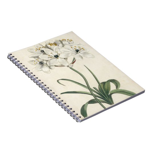 Ivory Garden Notizblock (Rechte Seite)