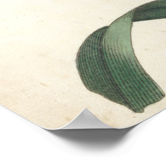 Ivory Garden Poster (Ecke)