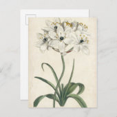 Ivory Garden Postkarte (Vorne/Hinten)