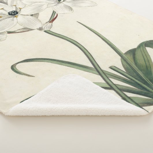 Ivory Garden Sherpadecke (3/4)