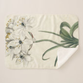 Ivory Garden Sherpadecke (Vorderseite (Horizontal))