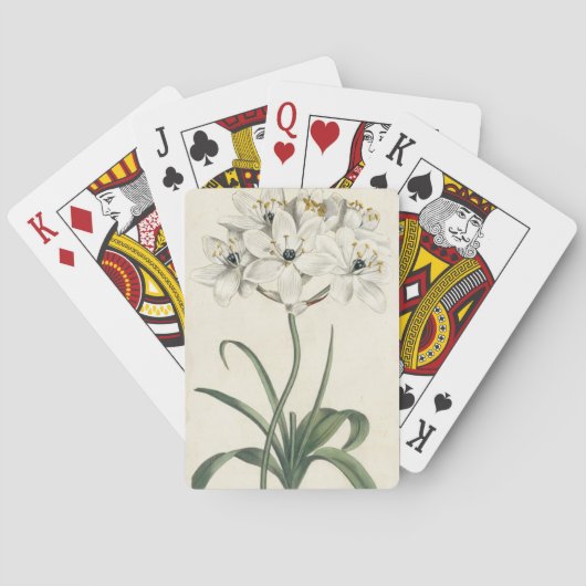 Ivory Garden Spielkarten (Rückseite)