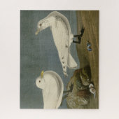 Ivory Gull - John James Audubons Vögel in Amerika Puzzle (Vertikal)