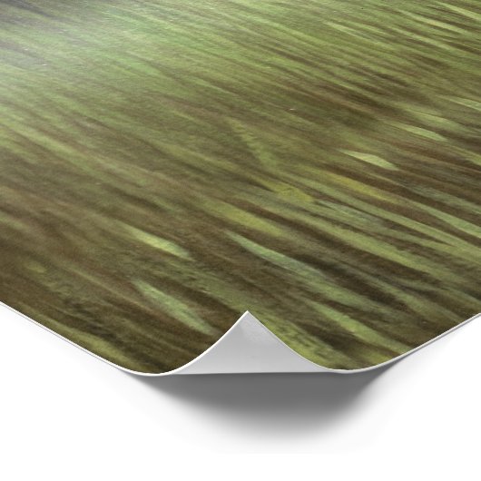 Ivory Mist Poster (Ecke)