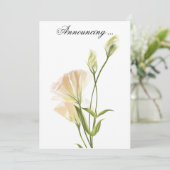 Ivory MoonFlower - Einladung zur Einladung zur Hoc (Stehend Vorderseite)